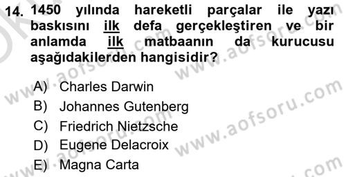 Görsel Kültür Dersi 2024 - 2025 Yılı Yaz Okulu Sınav Soruları 14. Soru