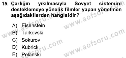 Görsel Kültür Dersi 2024 - 2025 Yılı Yaz Okulu Sınav Soruları 15. Soru