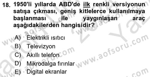 Görsel Kültür Dersi 2024 - 2025 Yılı Yaz Okulu Sınav Soruları 18. Soru