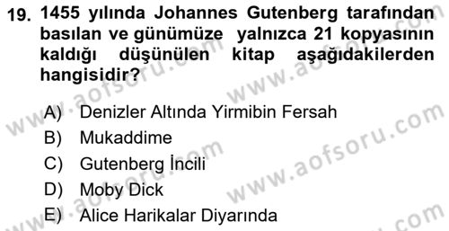 Görsel Kültür Dersi 2024 - 2025 Yılı Yaz Okulu Sınav Soruları 19. Soru