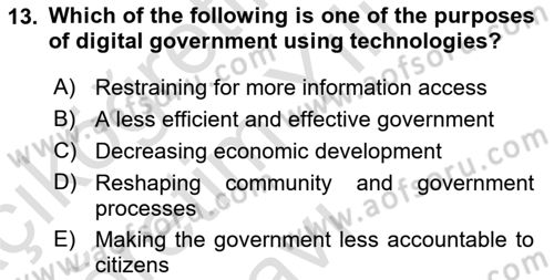 Introduction To Public Administration Dersi 2022 - 2023 Yılı Yaz Okulu Sınav Soruları 13. Soru