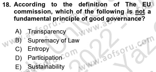 Introduction To Public Administration Dersi 2022 - 2023 Yılı Yaz Okulu Sınav Soruları 18. Soru