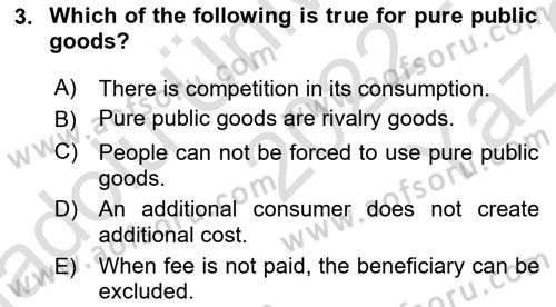Introduction To Public Administration Dersi 2022 - 2023 Yılı Yaz Okulu Sınav Soruları 3. Soru