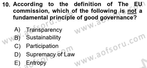 Introduction To Public Administration Dersi 2023 - 2024 Yılı (Final) Dönem Sonu Sınav Soruları 10. Soru