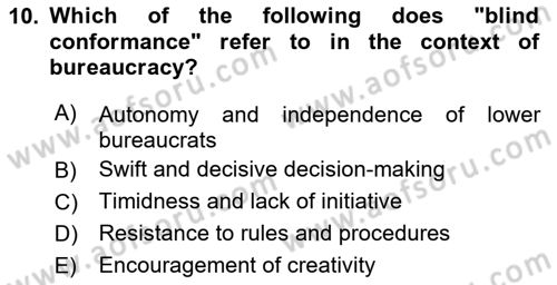 Introduction To Public Administration Dersi 2023 - 2024 Yılı Yaz Okulu Sınav Soruları 10. Soru