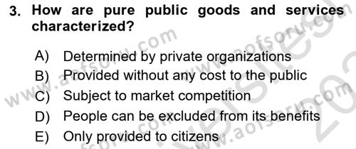 Introduction To Public Administration Dersi 2023 - 2024 Yılı Yaz Okulu Sınav Soruları 3. Soru