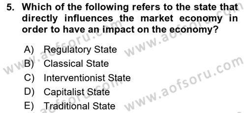 Introduction To Public Administration Dersi 2023 - 2024 Yılı Yaz Okulu Sınav Soruları 5. Soru