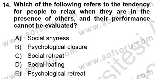 Introduction To Public Administration Dersi 2024 - 2025 Yılı (Vize) Ara Sınav Soruları 14. Soru