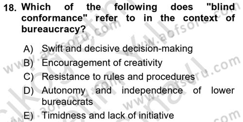 Introduction To Public Administration Dersi 2024 - 2025 Yılı (Vize) Ara Sınav Soruları 18. Soru