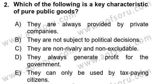 Introduction To Public Administration Dersi 2024 - 2025 Yılı (Vize) Ara Sınav Soruları 2. Soru