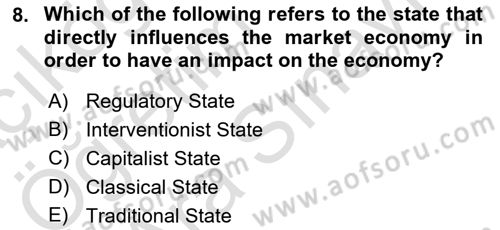 Introduction To Public Administration Dersi 2024 - 2025 Yılı (Vize) Ara Sınav Soruları 8. Soru