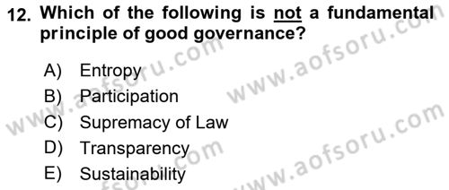 Introduction To Public Administration Dersi 2024 - 2025 Yılı (Final) Dönem Sonu Sınav Soruları 12. Soru