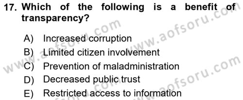 Introduction To Public Administration Dersi 2024 - 2025 Yılı (Final) Dönem Sonu Sınav Soruları 17. Soru