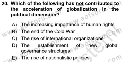 Introduction To Public Administration Dersi 2024 - 2025 Yılı (Final) Dönem Sonu Sınav Soruları 20. Soru