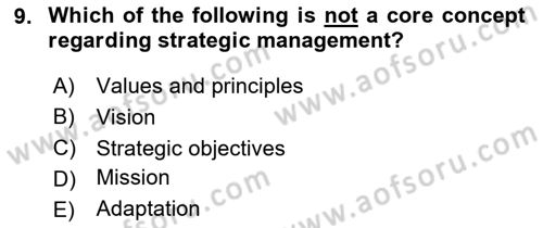 Introduction To Public Administration Dersi 2024 - 2025 Yılı (Final) Dönem Sonu Sınav Soruları 9. Soru