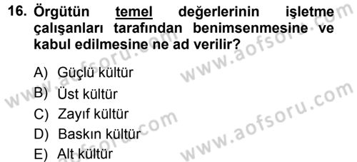 Yönetim Bilimi 1 Dersi Ara Sınavı Deneme Sınav Soruları 16. Soru