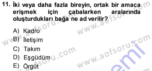Yönetim Bilimi 1 Dersi Ara Sınavı Deneme Sınav Soruları 11. Soru