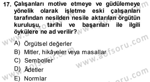 Yönetim Bilimi 1 Dersi Ara Sınavı Deneme Sınav Soruları 17. Soru