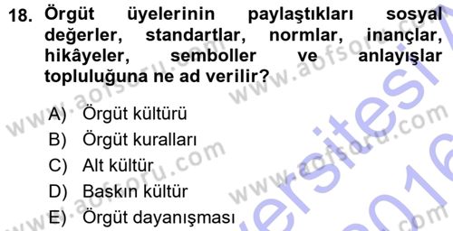 Yönetim Bilimi 1 Dersi Ara Sınavı Deneme Sınav Soruları 18. Soru