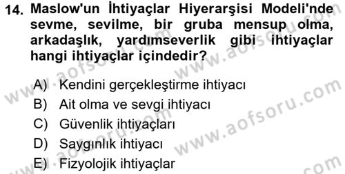 Yönetim Bilimi 1 Dersi 2016 - 2017 Yılı (Final) Dönem Sonu Sınav Soruları 14. Soru