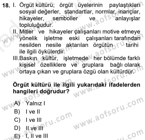 Yönetim Bilimi 1 Dersi Ara Sınavı Deneme Sınav Soruları 18. Soru