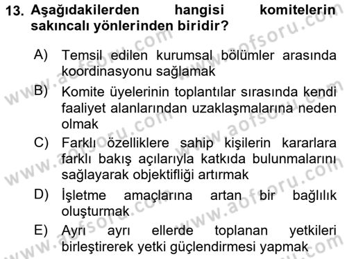 Yönetim Bilimi 1 Dersi 2018 - 2019 Yılı (Final) Dönem Sonu Sınav Soruları 13. Soru