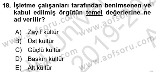 Yönetim Bilimi 1 Dersi Ara Sınavı Deneme Sınav Soruları 18. Soru