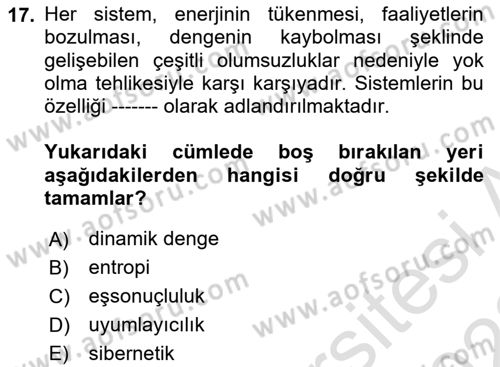 Yönetim Bilimi 1 Dersi 2021 - 2022 Yılı (Final) Dönem Sonu Sınavı 17. Soru