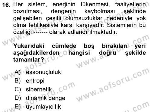 Yönetim Bilimi 1 Dersi 2021 - 2022 Yılı Yaz Okulu Sınav Soruları 16. Soru