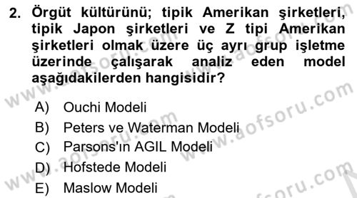 Yönetim Bilimi 1 Dersi 2021 - 2022 Yılı Yaz Okulu Sınav Soruları 2. Soru