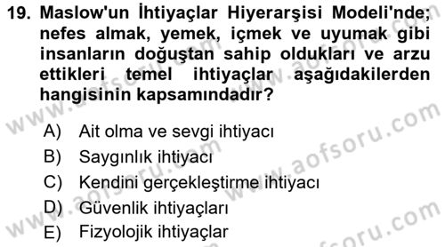 Yönetim Bilimi 1 Dersi 2022 - 2023 Yılı Yaz Okulu Sınav Soruları 19. Soru