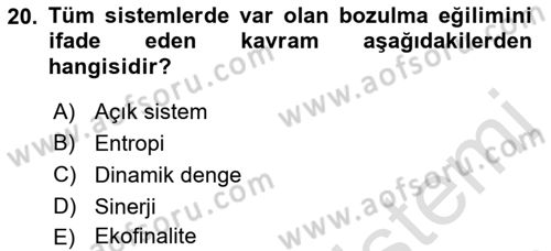 Yönetim Bilimi 1 Dersi 2022 - 2023 Yılı Yaz Okulu Sınav Soruları 20. Soru