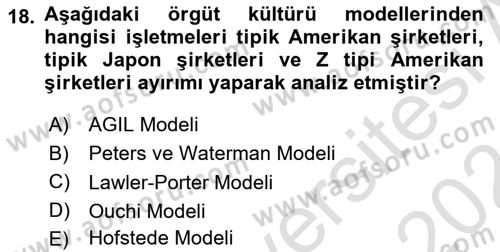 Yönetim Bilimi 1 Dersi 2023 - 2024 Yılı (Vize) Ara Sınav Soruları 18. Soru