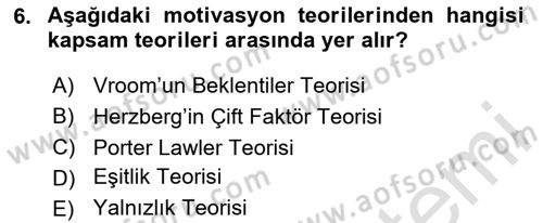 Yönetim Bilimi 1 Dersi 2023 - 2024 Yılı Yaz Okulu Sınav Soruları 6. Soru