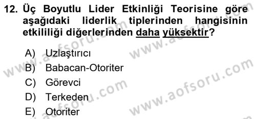 Yönetim Bilimi 1 Dersi 2024 - 2025 Yılı (Vize) Ara Sınav Soruları 12. Soru