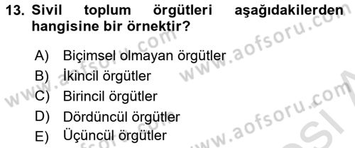 Yönetim Bilimi 1 Dersi 2024 - 2025 Yılı (Vize) Ara Sınav Soruları 13. Soru