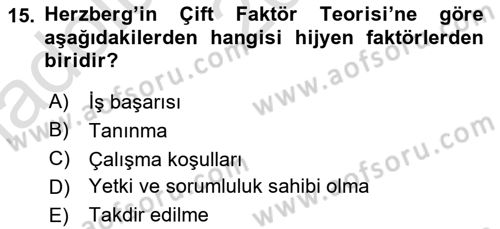 Yönetim Bilimi 1 Dersi 2024 - 2025 Yılı (Vize) Ara Sınav Soruları 15. Soru