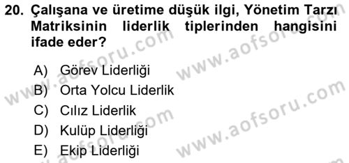 Yönetim Bilimi 1 Dersi 2024 - 2025 Yılı (Vize) Ara Sınav Soruları 20. Soru