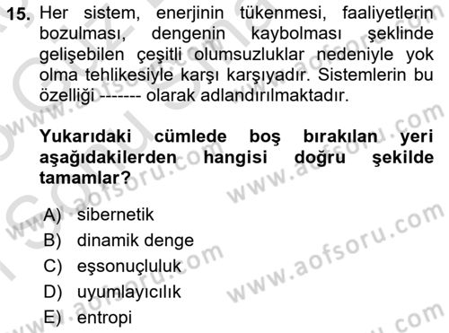 Yönetim Bilimi 1 Dersi 2024 - 2025 Yılı (Final) Dönem Sonu Sınav Soruları 15. Soru