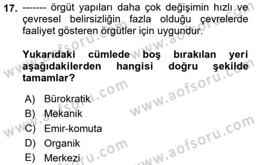 Yönetim Bilimi 1 Dersi 2024 - 2025 Yılı Yaz Okulu Sınav Soruları 17. Soru