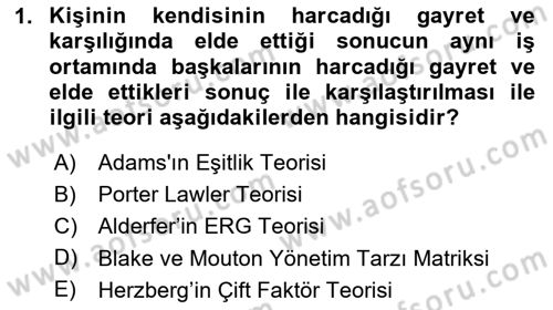 Yönetim Bilimi 1 Dersi 2025 - 2026 Yılı (Final) Dönem Sonu Sınav Soruları 1. Soru