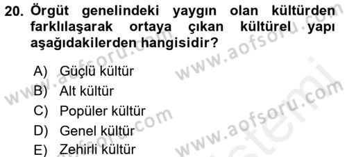 Yönetim Bilimi 2 Dersi 2017 - 2018 Yılı (Final) Dönem Sonu Sınav Soruları 20. Soru