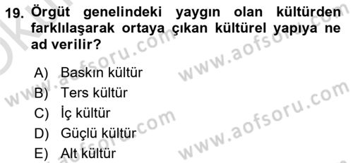 Yönetim Bilimi 2 Dersi 2022 - 2023 Yılı Yaz Okulu Sınav Soruları 19. Soru