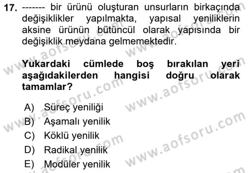 Yönetim Bilimi 2 Dersi 2023 - 2024 Yılı Yaz Okulu Sınav Soruları 17. Soru