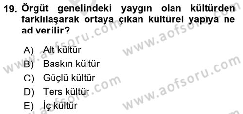 Yönetim Bilimi 2 Dersi 2024 - 2025 Yılı (Final) Dönem Sonu Sınav Soruları 19. Soru