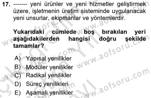 Yönetim Bilimi 2 Dersi 2024 - 2025 Yılı Yaz Okulu Sınav Soruları 17. Soru