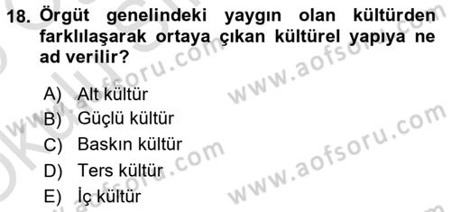 Yönetim Bilimi 2 Dersi 2024 - 2025 Yılı Yaz Okulu Sınav Soruları 18. Soru