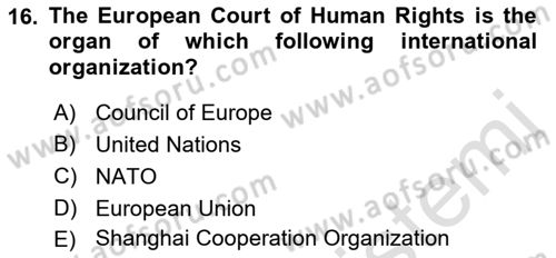 Constitutional Law Dersi 2022 - 2023 Yılı (Vize) Ara Sınav Soruları 16. Soru