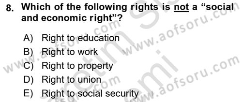 Constitutional Law Dersi 2022 - 2023 Yılı (Final) Dönem Sonu Sınav Soruları 8. Soru