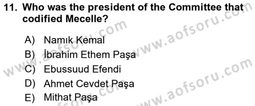 Constitutional Law Dersi 2022 - 2023 Yılı Yaz Okulu Sınav Soruları 11. Soru